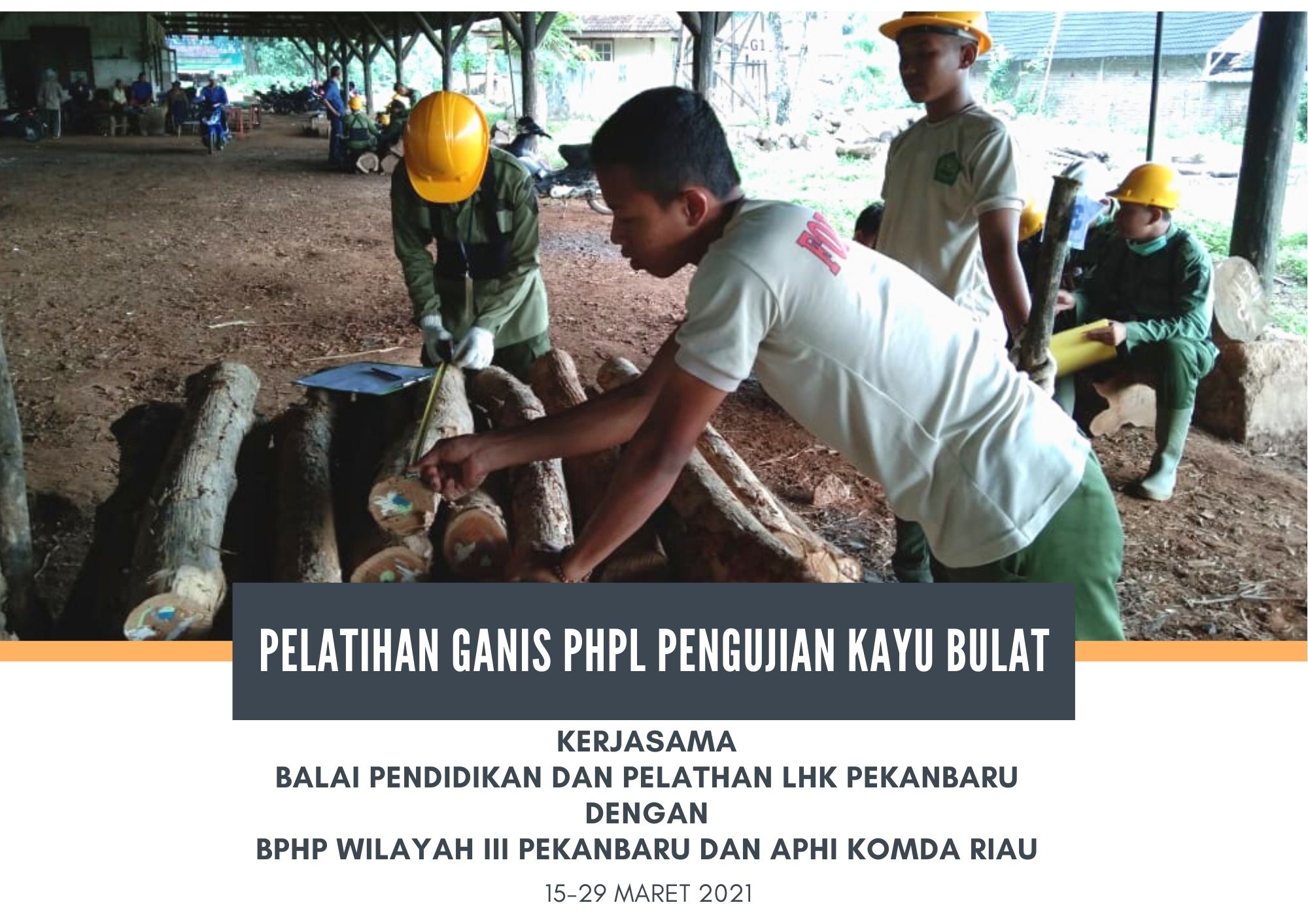 Pelatihan GANIS PHPL Pengujian Kayu Bulat Di Balai Diklat LHK Pekanbaru