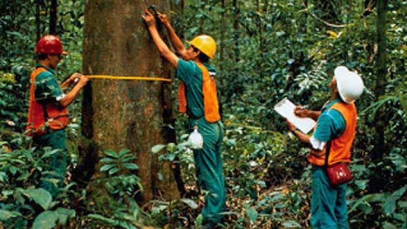 Pelatihan Pembentukan PEH Tk. Ahli Angkatan II