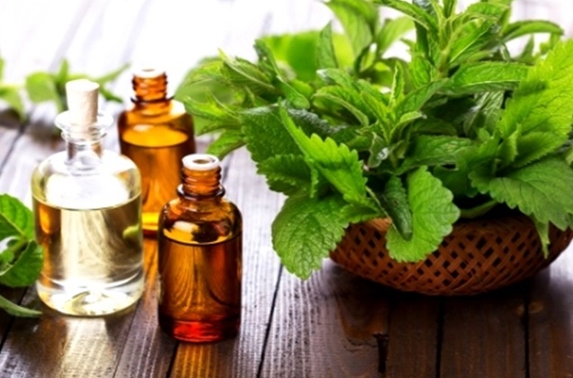 Pelatihan Pengolahan Nilam