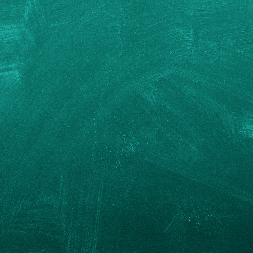 PELATIHAN TEKNIK BUDIDAYA LEBAH MADU