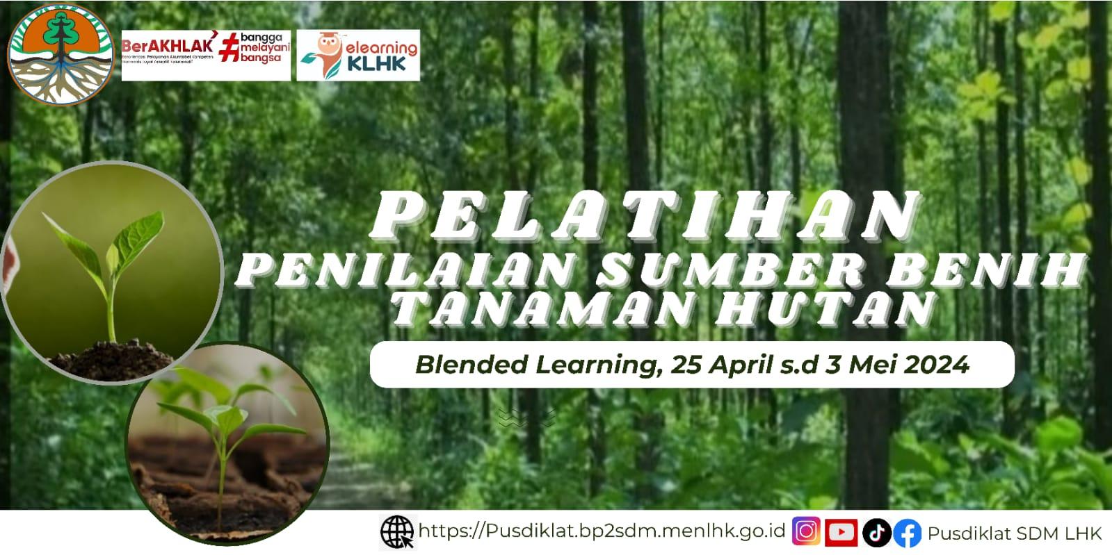 PELATIHAN PENILAIAN SUMBER BENIH TANAMAN HUTAN TA.2024 