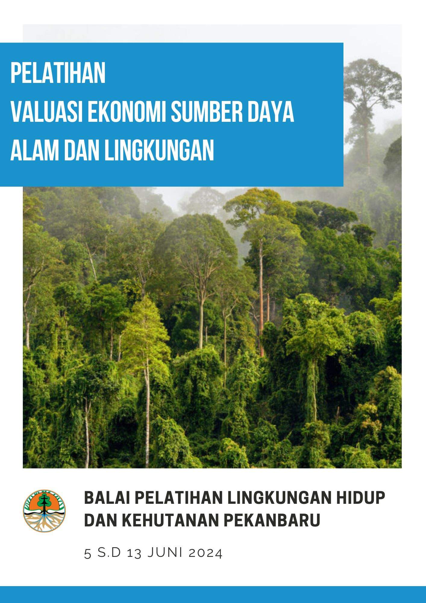 Valuasi Ekonomi Sumber Daya Alam dan Lingkungan