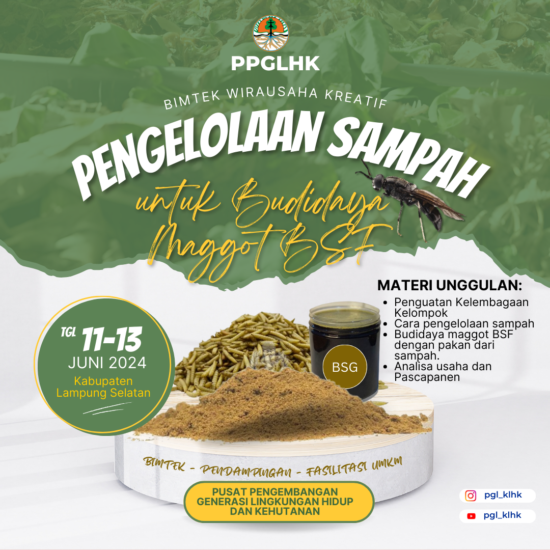 PENGELOLAAN SAMPAH UNTUK BUDIDAYA MAGGOT BSF A-5 KAB. LAMPUNG SELATAN