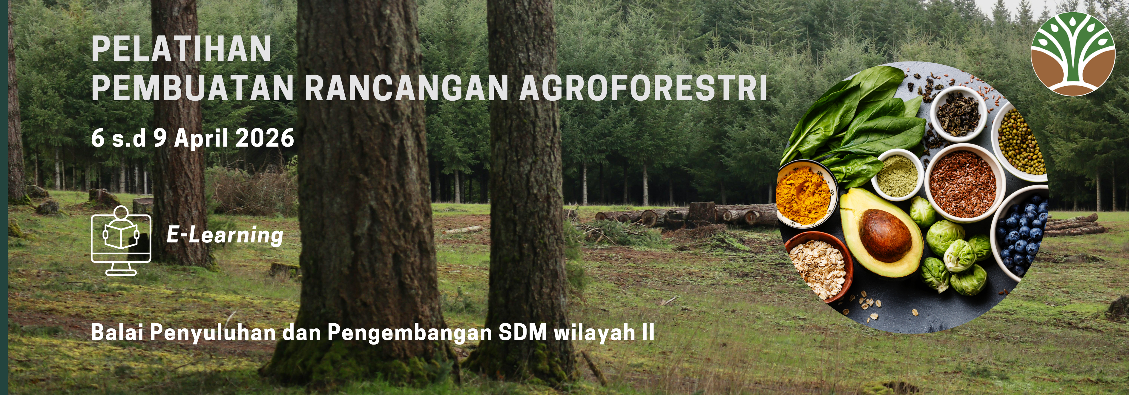 Pembuatan Rancangan Agroforestri