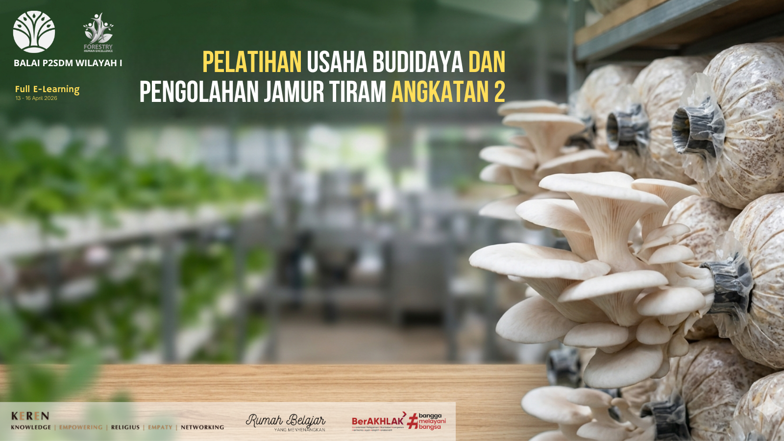 Pelatihan Usaha Budidaya dan Pengolahan Jamur Tiram Angkatan 2 Tahun 2026