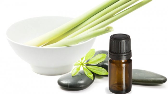 TOT Substansi Pelatihan Teknik Pembuatan Minyak Atsiri Serei Wangi