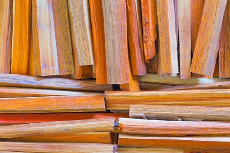 ToT Substansi Pelatihan Tenaga Lapang Pengukur Kayu Gergajian