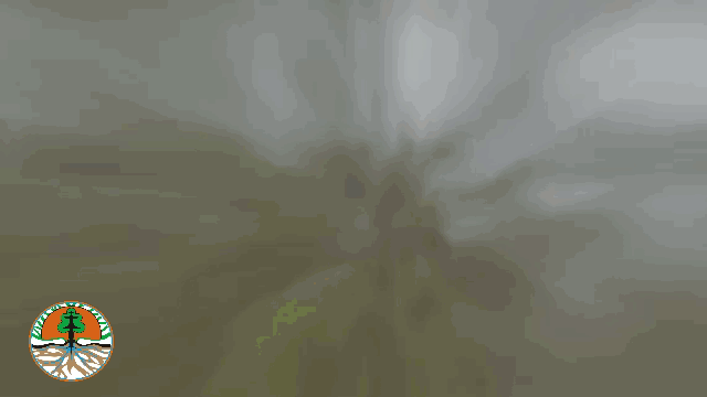 Pelatihan Teknik Pencegahan Kebakaran Hutan dan Lahan (Karhutla) bagi Masyarakat Peduli Api (MPA)