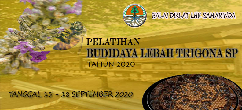 PELATIHAN BUDIDAYA LEBAH TRIGONA SP TAHUN 2020 ANGKATAN 2 BDLHK SAMARINDA