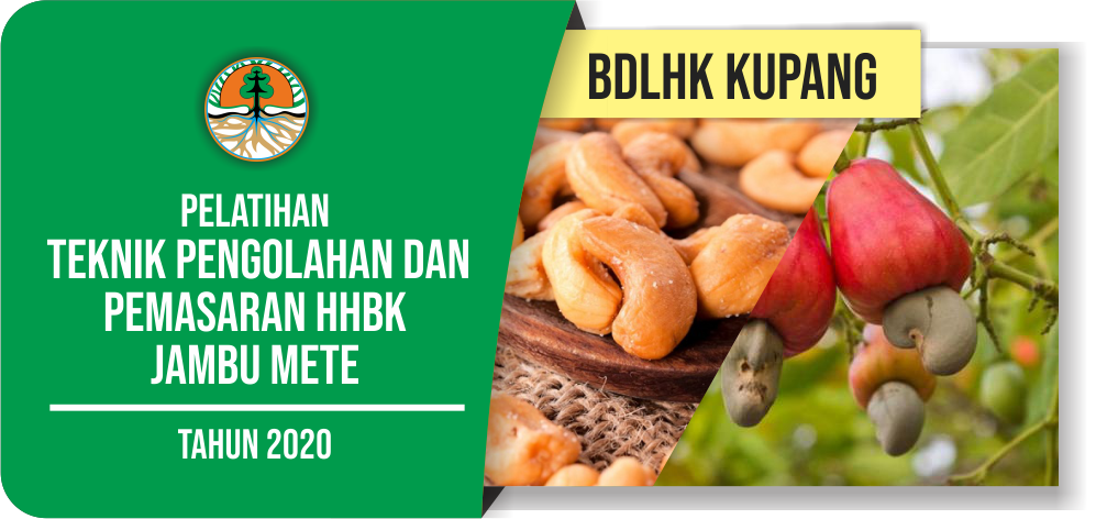 Pelatihan Teknik Pengolahan dan Pemasaran HHBK Jambu Mete BDLHK Kupang
