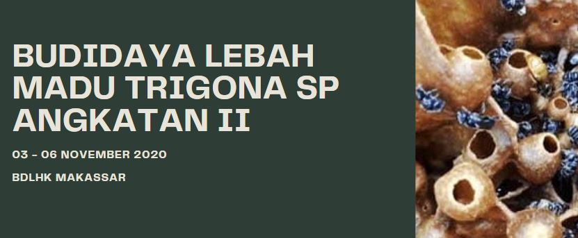 (BDLHK MAKASSAR) BUDIDAYA LEBAH MADU TRIGONA SP ANGKATAN II