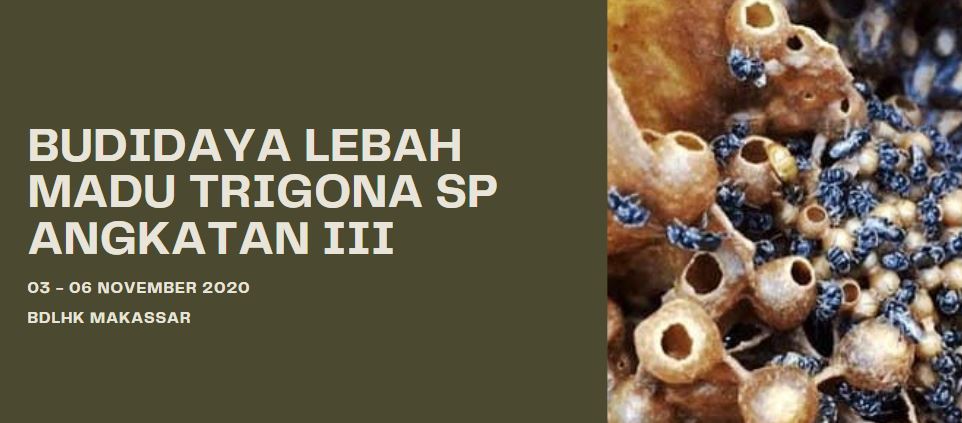 (BDLHK MAKASSAR) BUDIDAYA LEBAH MADU TRIGONA SP ANGKATAN III