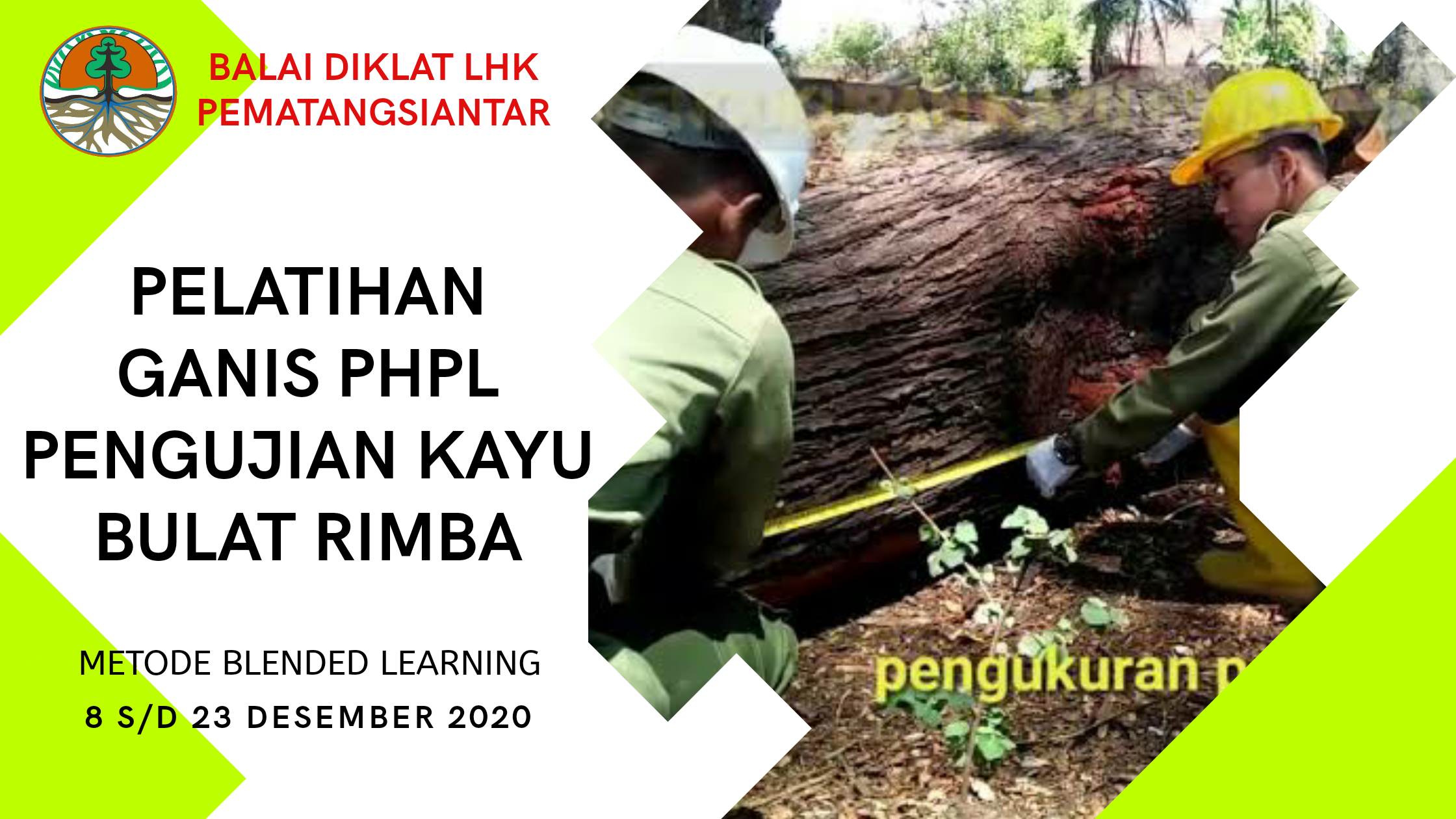 PELATIHAN GANIS PHPL PENGUJIAN KAYU BULAT DI BDLHK PEMATANGSIANTAR