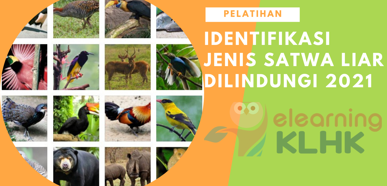 Pelatihan Identifikasi Jenis Satwa Liar Dilindungi
